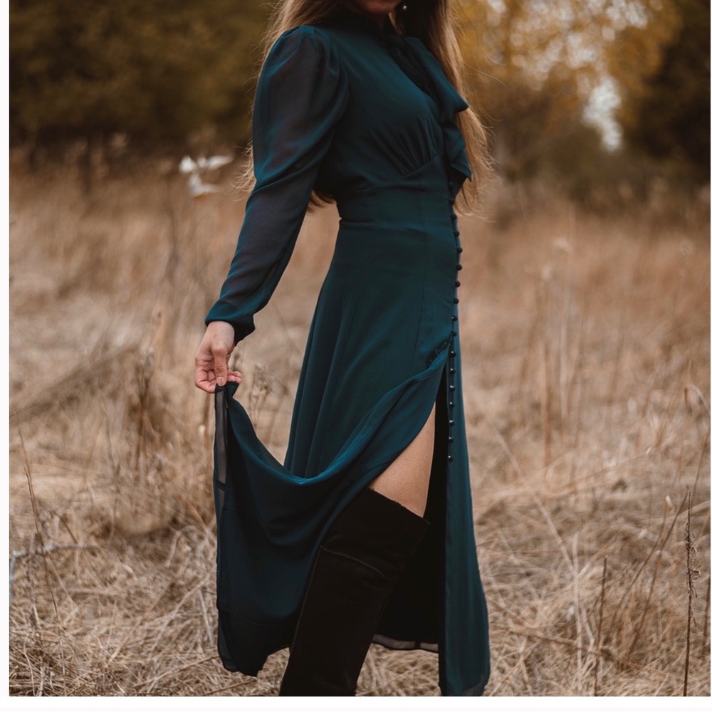 ARITZIA||Wilfred|Mambo Dress - Picture 4 of 15